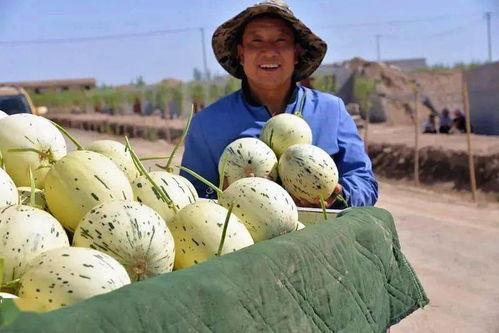 甘肃武威吃瓜事件视频,一场引发热议的街头冲突瞬间
